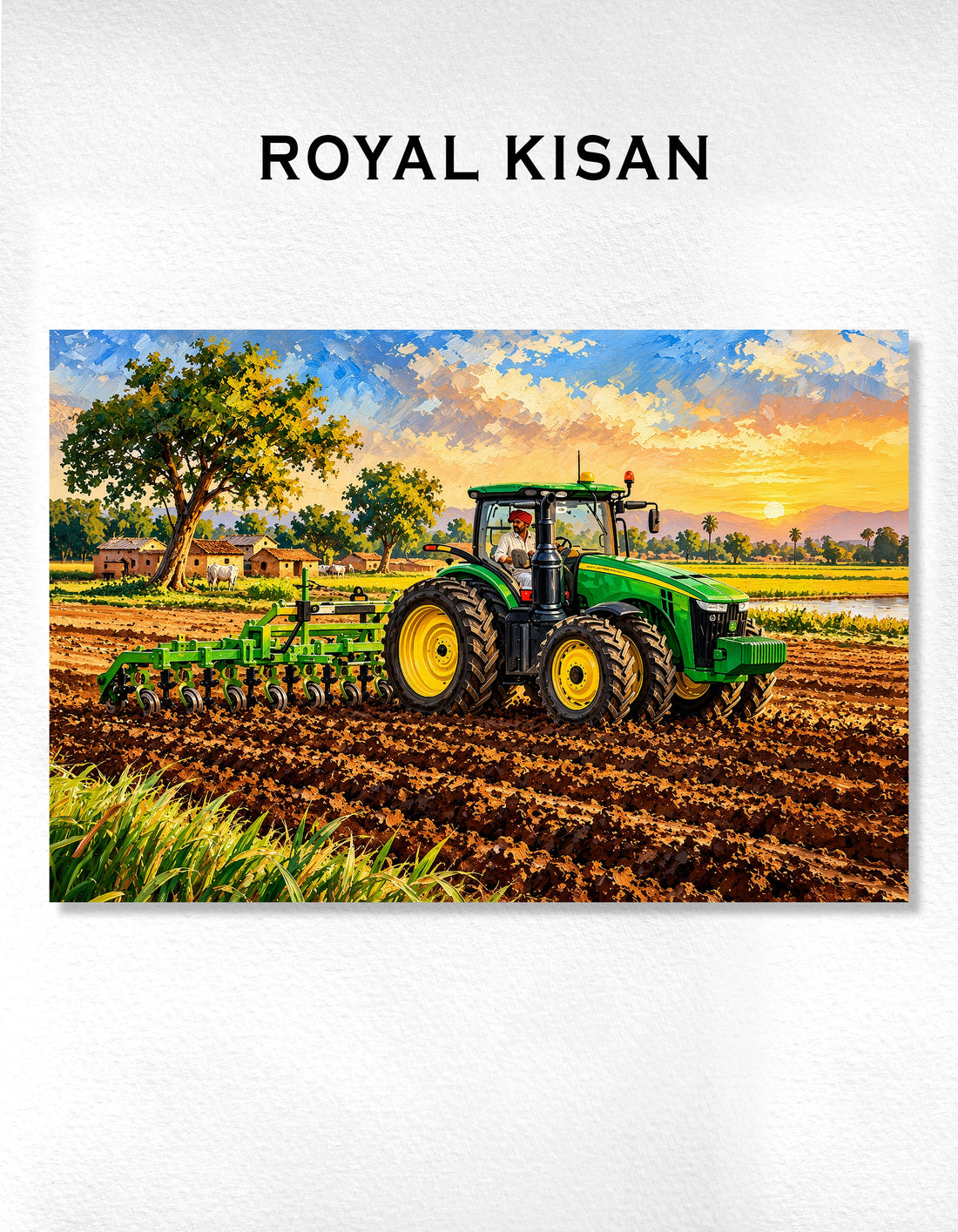 Royal Kisan