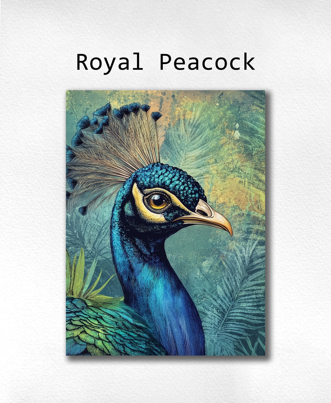 Royal Peacock