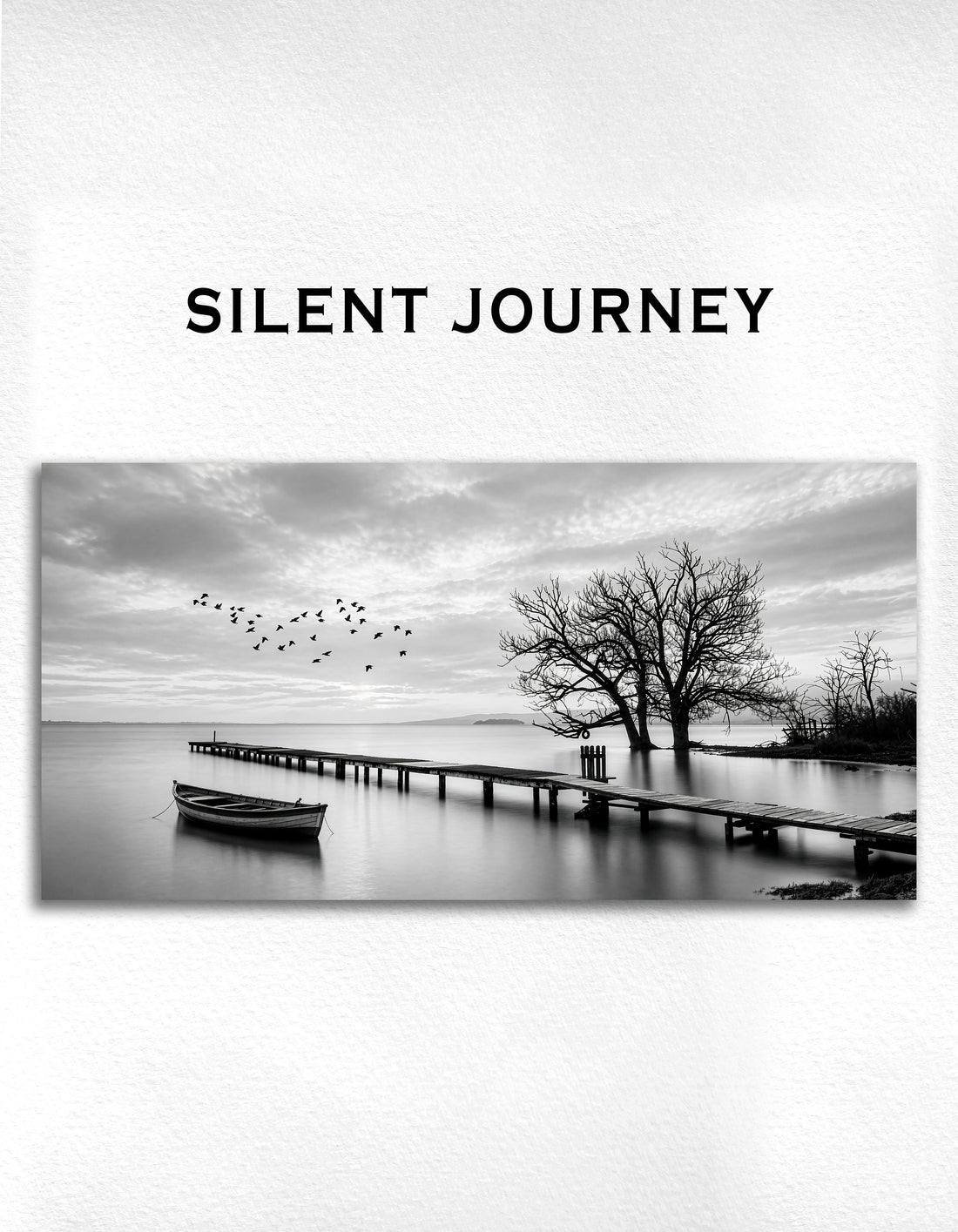 Silent Journey