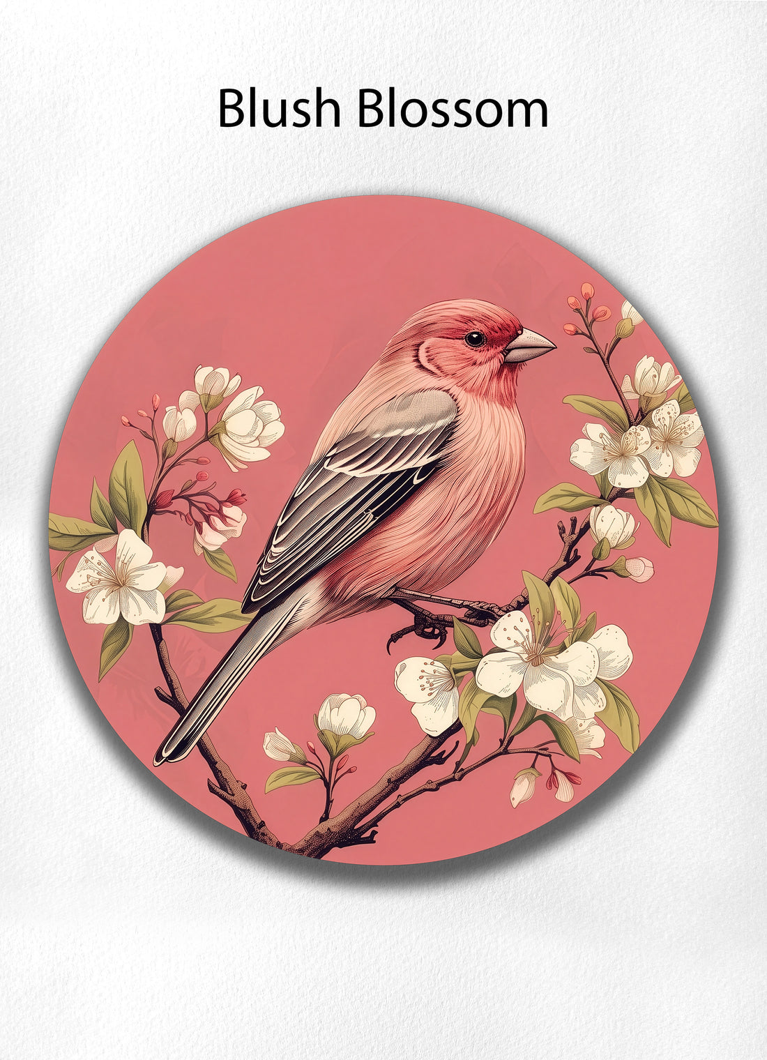 Blush Blossom