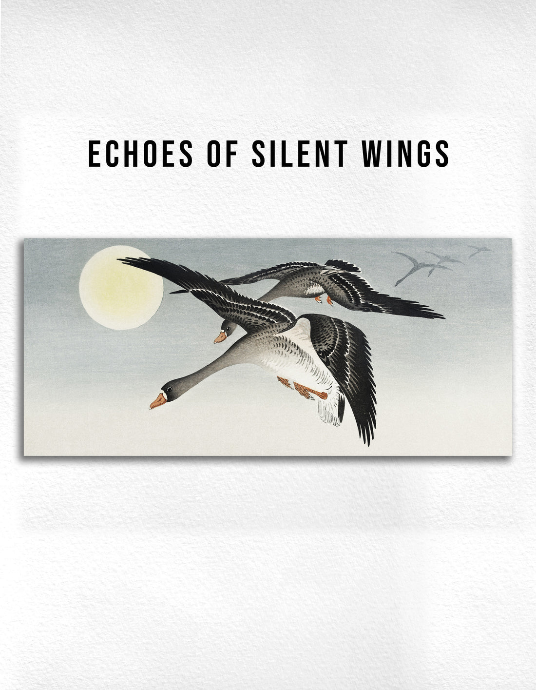 Echoes of Silent Wings