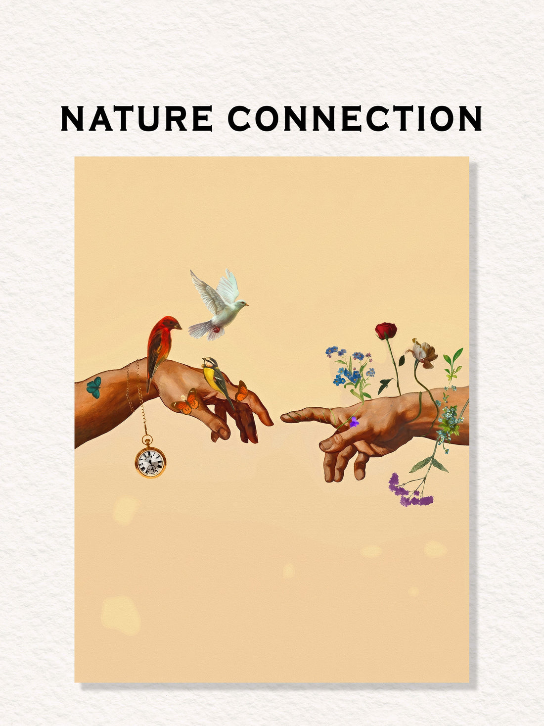 Nature Connection