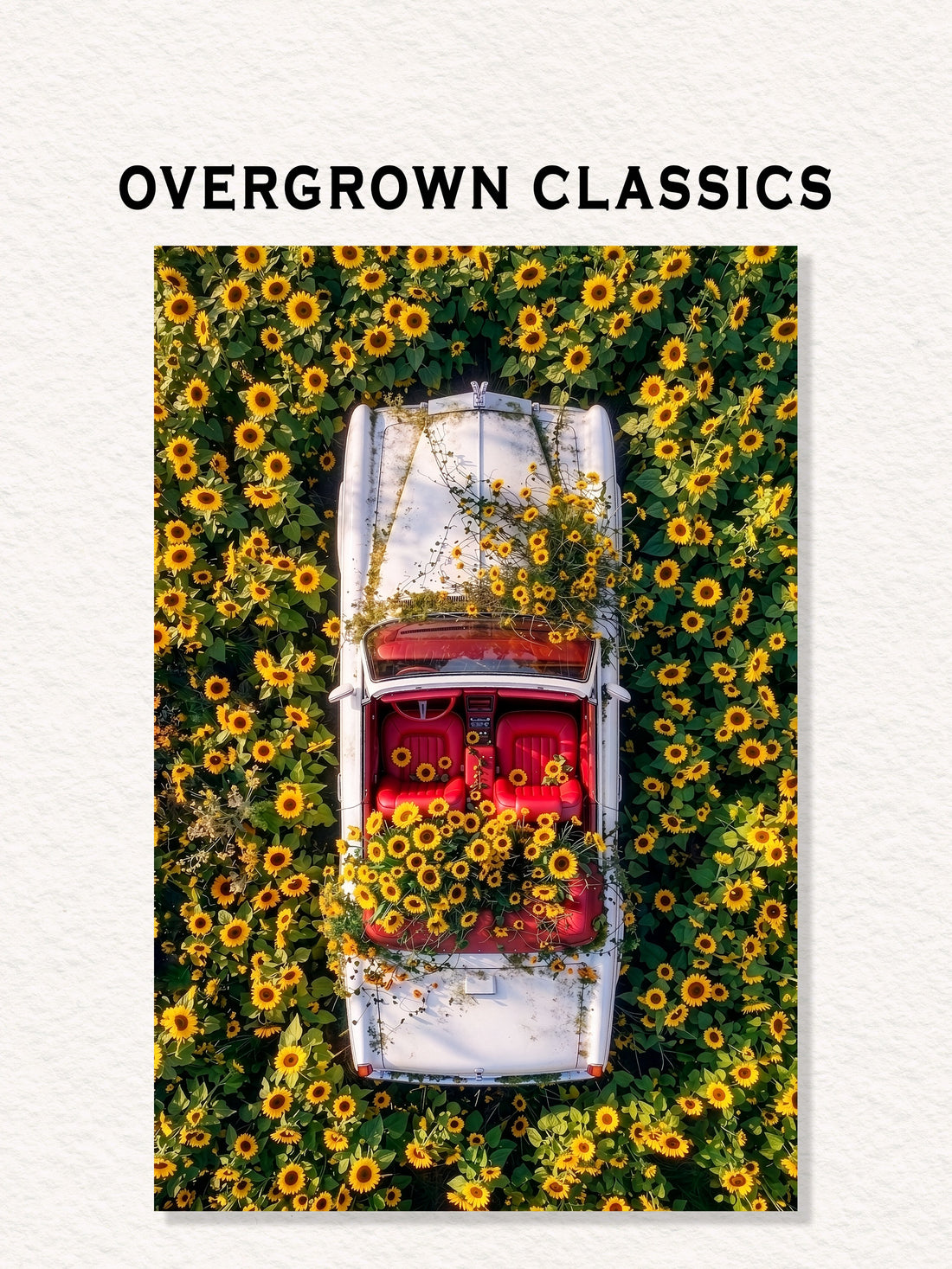Overgrown Classics