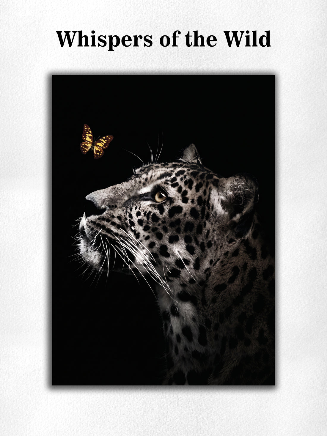 Whispers of the Wild